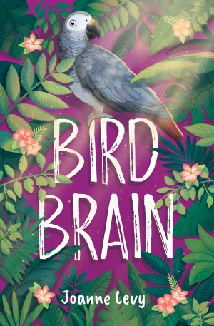 Cover of Bird Brain